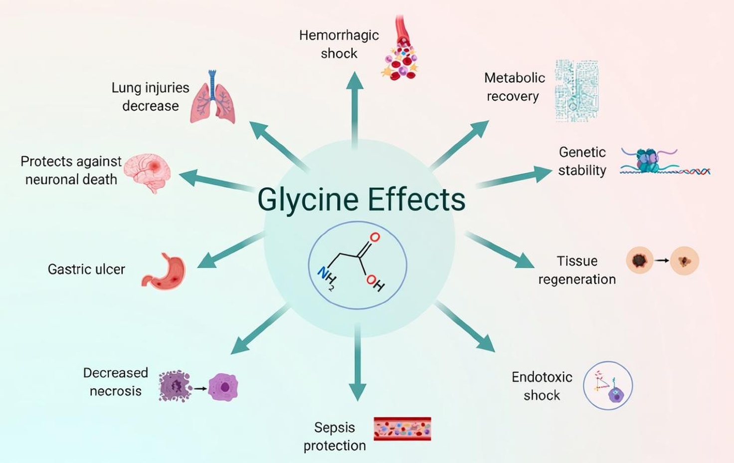 Glycine improves various aspects of health.